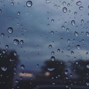 Meet your Posher, Alondra